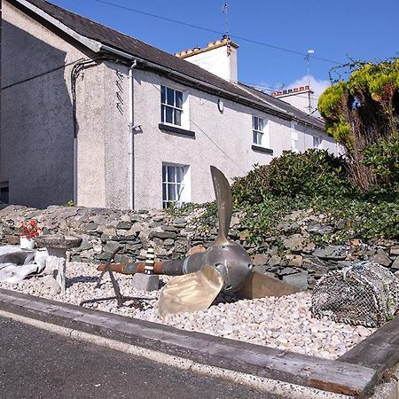 Burford Lodge Guest House Ardglass Exteriör bild